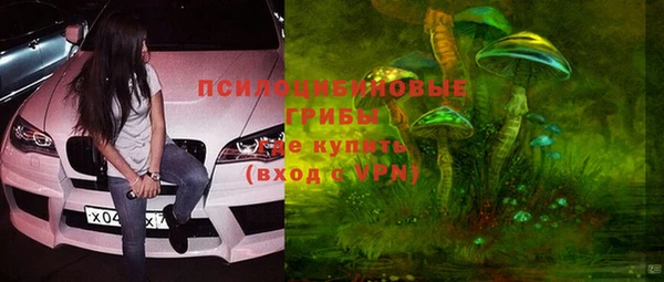 герыч Арсеньев